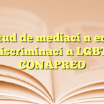 Solicitud de mediación en línea por discriminación LGBT+ en CONAPRED