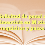 Solicitud de pensión alimenticia en México: requisitos y pasos