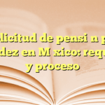 Solicitud de pensión por invalidez en México: requisitos y proceso