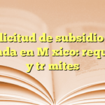 Solicitud de subsidio de vivienda en México: requisitos y trámites