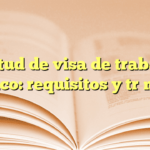Solicitud de visa de trabajo en México: requisitos y trámites