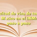 Solicitud de visa de turista para México en el INM: guía paso a paso