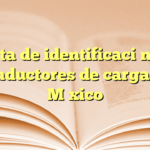 Tarjeta de identificación para conductores de carga en México