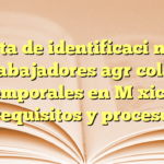 Tarjeta de identificación para trabajadores agrícolas temporales en México: requisitos y proceso