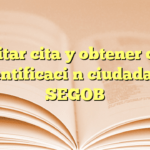 Tramitar cita y obtener cédula de identificación ciudadana en SEGOB