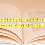Trámite para pensión por viudez en el IMSS en México