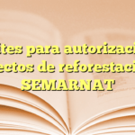 Trámites para autorización de proyectos de reforestación en SEMARNAT
