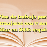 Visa de trabajo para extranjeros con vínculo familiar en SRE: requisitos