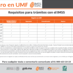 Inscripción al IMSS en Campeche: Requisitos y trámites necesarios.