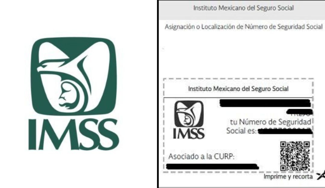 Inscripción Al Imss En Cuernavaca Cómo Obtener Tu Número De Afiliación Trámites 2023 7595