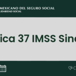 Inscripción al IMSS en Los Mochis: Seguro Social para trabajadores sinaloenses.