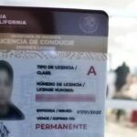 Licencia de Conducir en Mexicali