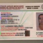 Licencia de Conducir en Sinaloa