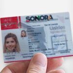 Licencia de Conducir en Sonora