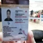 Licencia de Conducir en Tijuana